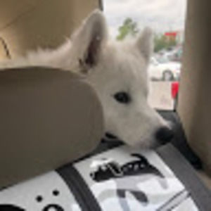 Meet your Posher, Sogoodbye